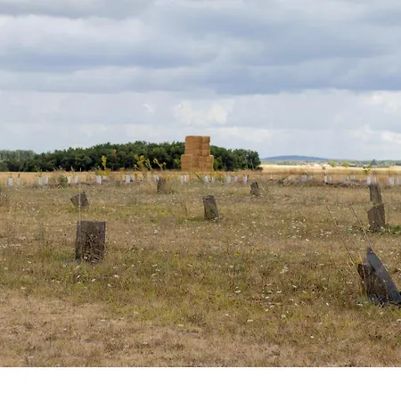 Truffiers Charentais