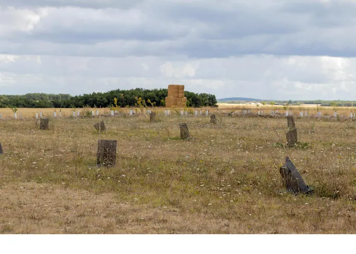 Truffiers Charentais Résidence
